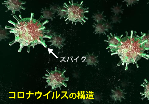 ワクチン接種
