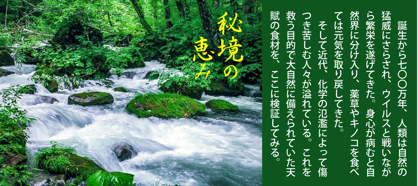 体内酵素